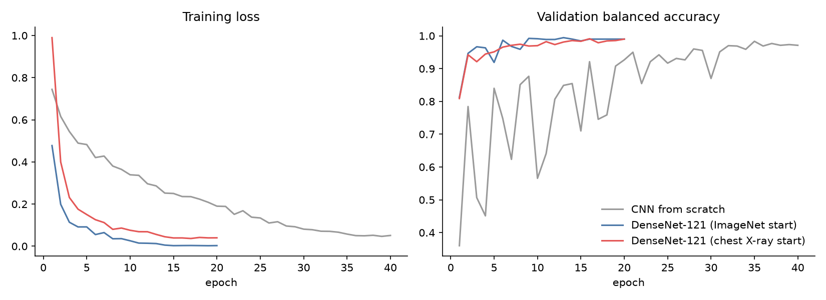 Training loss and validation balanced accuracy by epoch